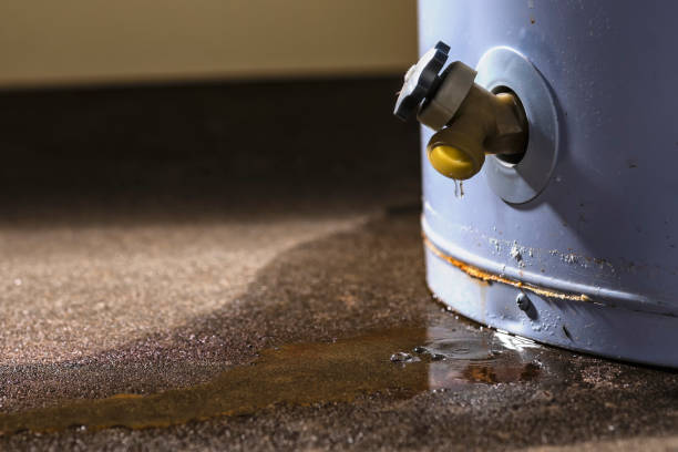  Mineville, NY Water damage restoration Pros