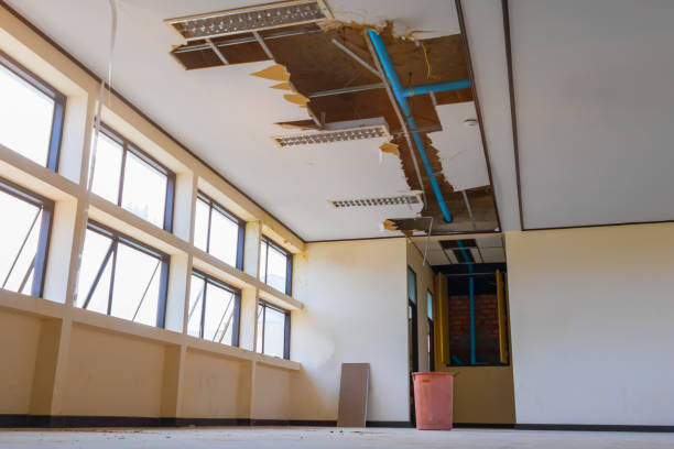 Best Water damage cleanup near me  in Mineville, NY