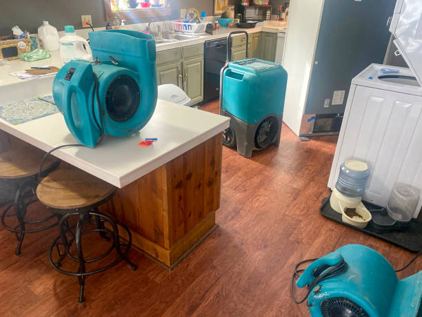 Best Water damage contractors near me  in Mineville, NY
