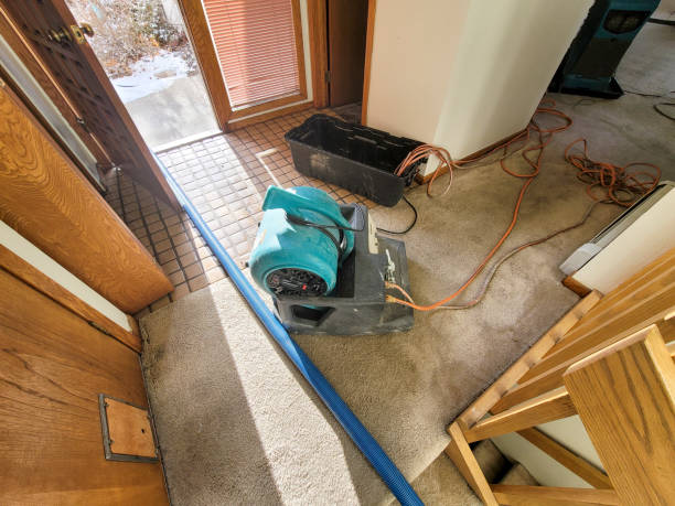 Best Carpet water damage restoration  in Mineville, NY