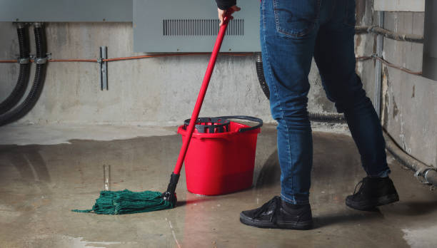 Best Ceiling water damage repair  in Mineville, NY