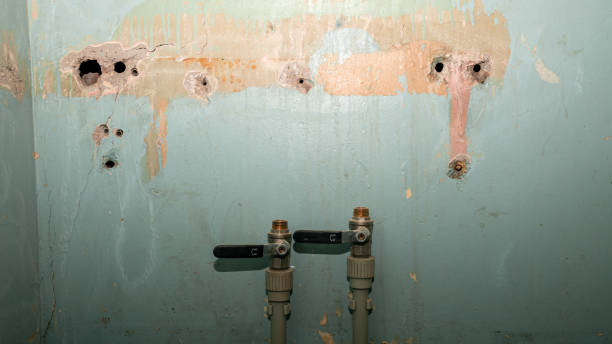 Best Water damage restoration insurance claims  in Mineville, NY