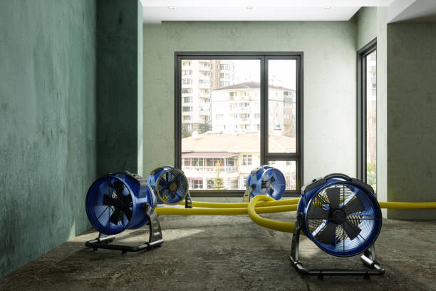Best Local water damage restoration  in Mineville, NY