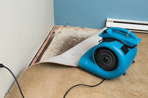 Best Flooded house restoration  in Mineville, NY